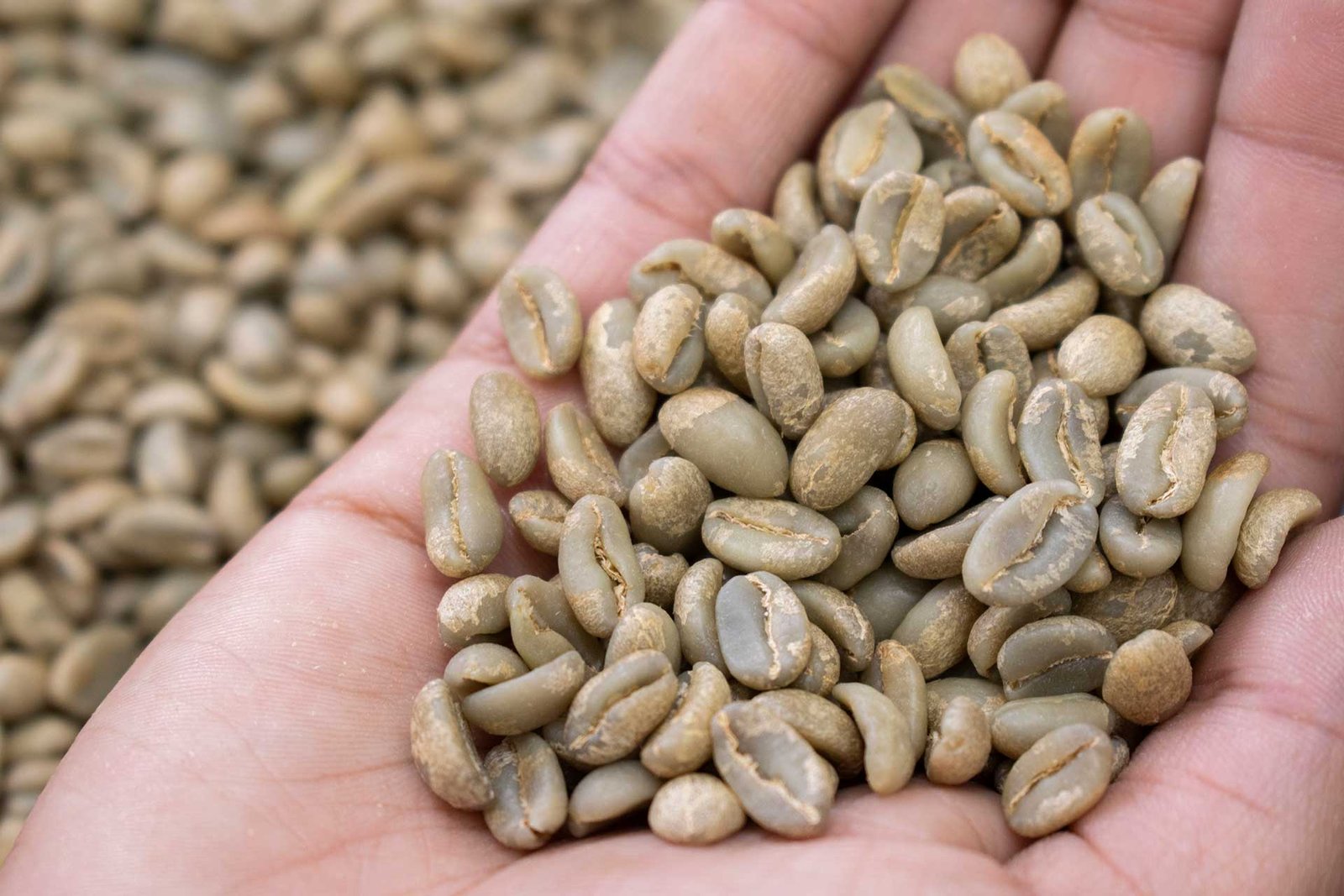 ASPECTOS A TENER EN CUENTA PARA QUE EL TOSTADOR ADQUIERA LAS MEJORES MATERIAS PRIMAS EN MERCADOS DE CAFÉS DE ESPECIALIDAD.